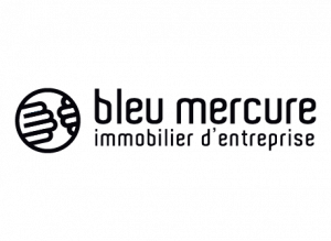 Bleu Mercure 